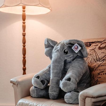 Apartmán Olifant In Osterode Osterode am Harz Exteriér fotografie