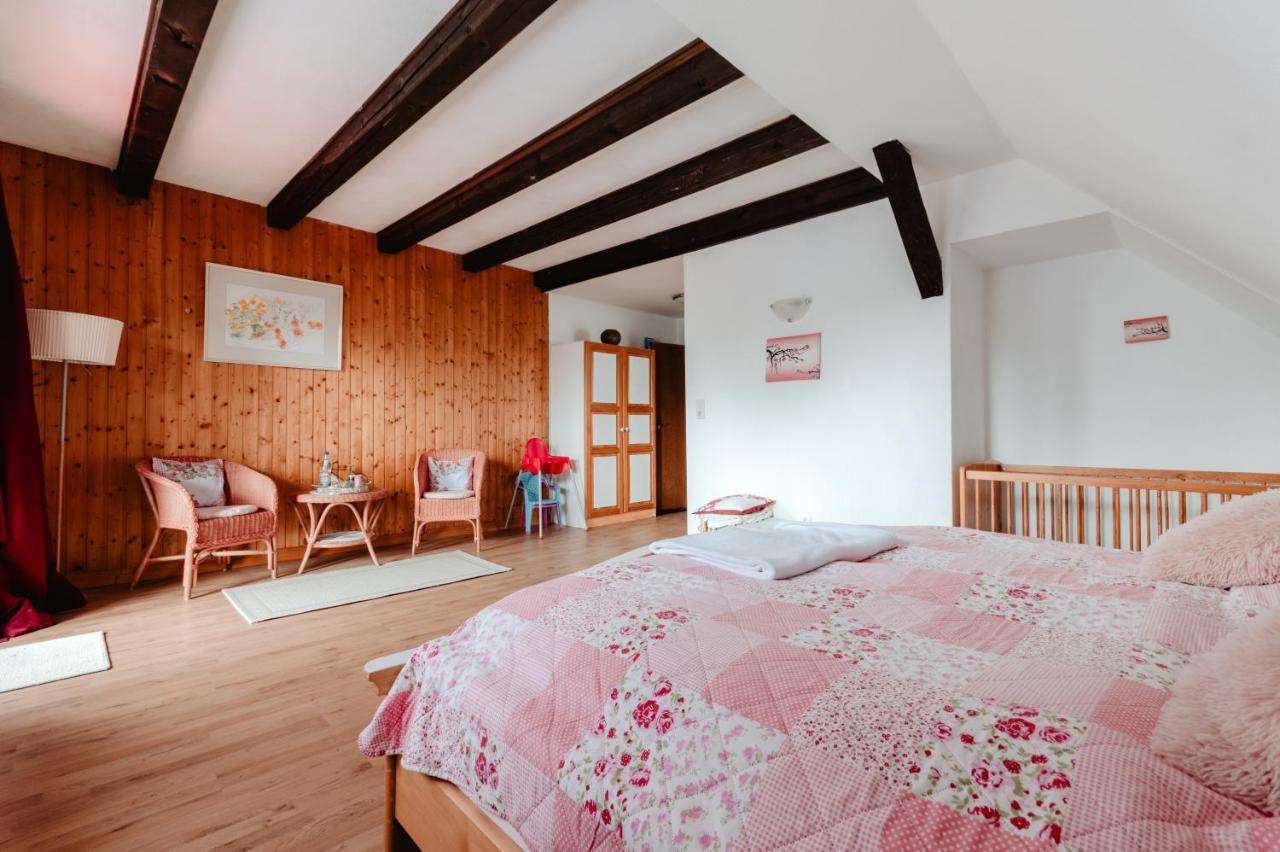 Apartmán Olifant In Osterode Osterode am Harz Exteriér fotografie