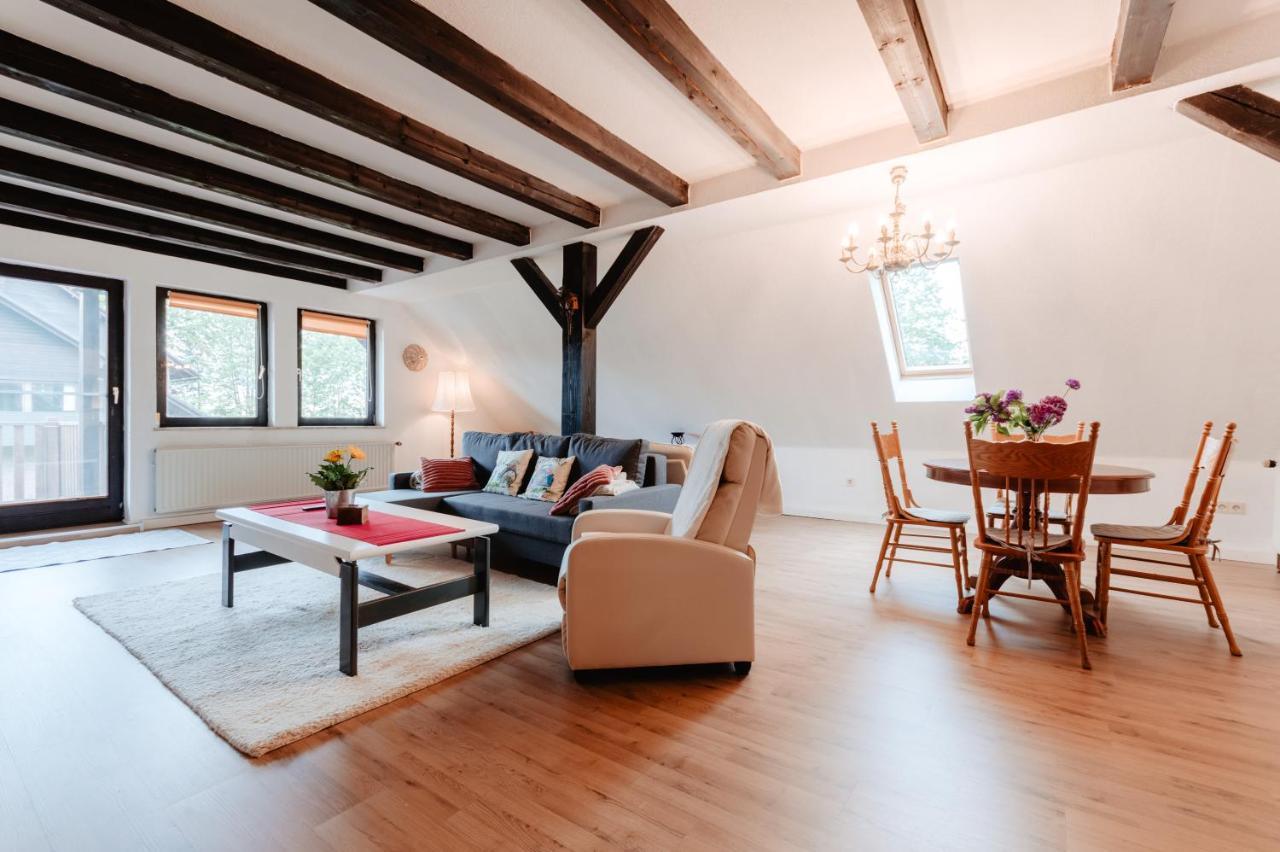 Apartmán Olifant In Osterode Osterode am Harz Exteriér fotografie