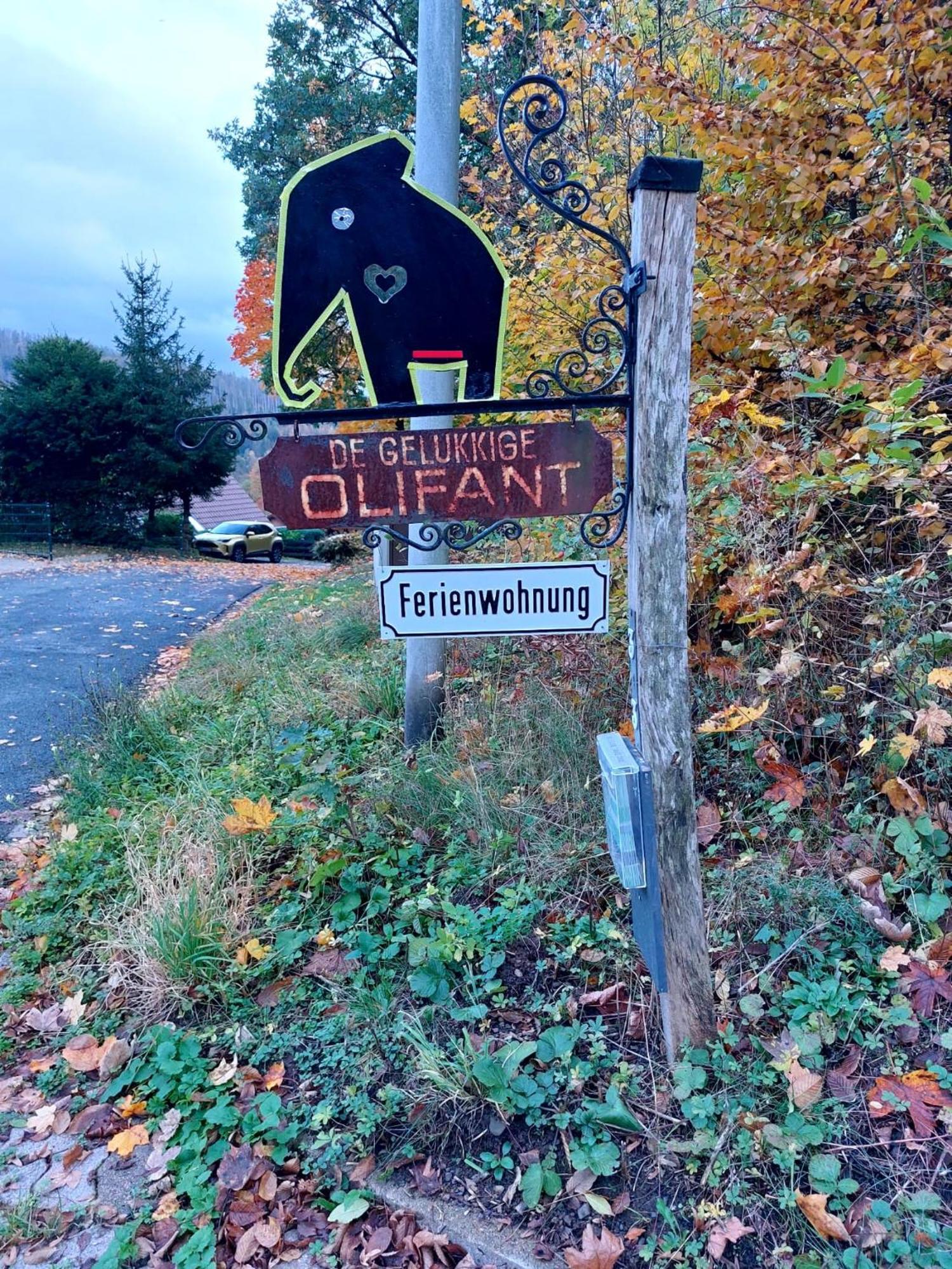 Apartmán Olifant In Osterode Osterode am Harz Exteriér fotografie