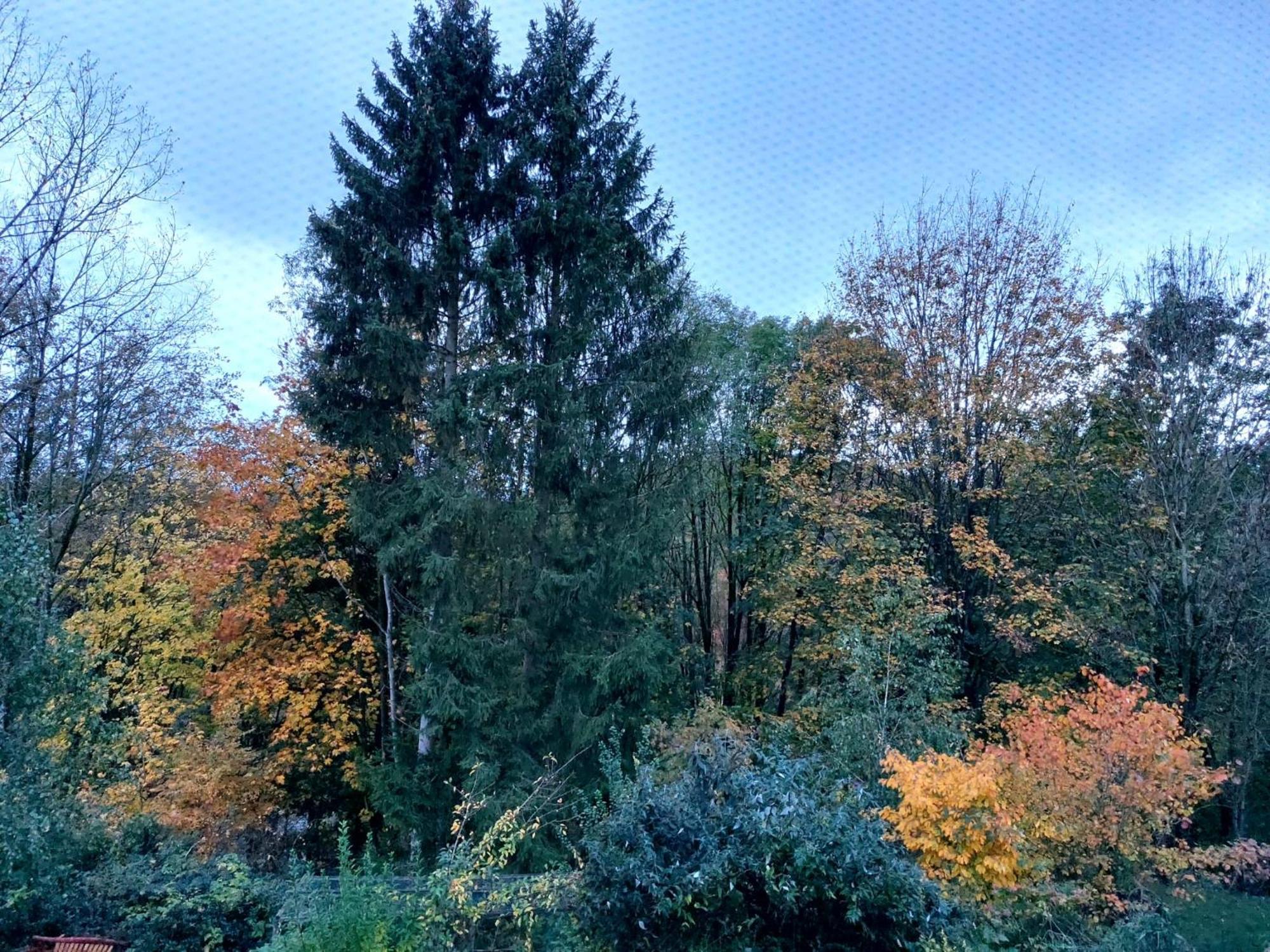 Apartmán Olifant In Osterode Osterode am Harz Exteriér fotografie
