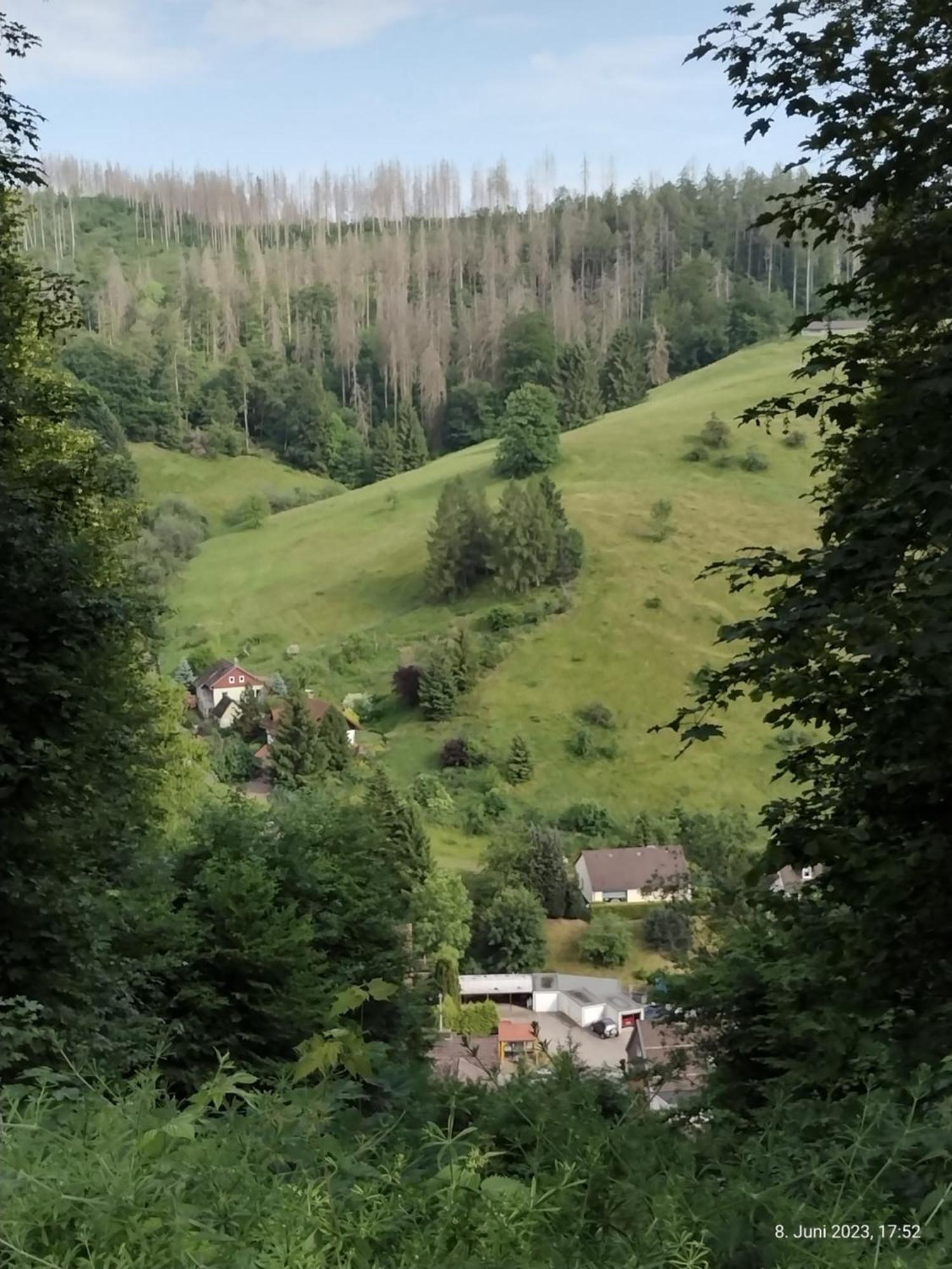 Apartmán Olifant In Osterode Osterode am Harz Exteriér fotografie