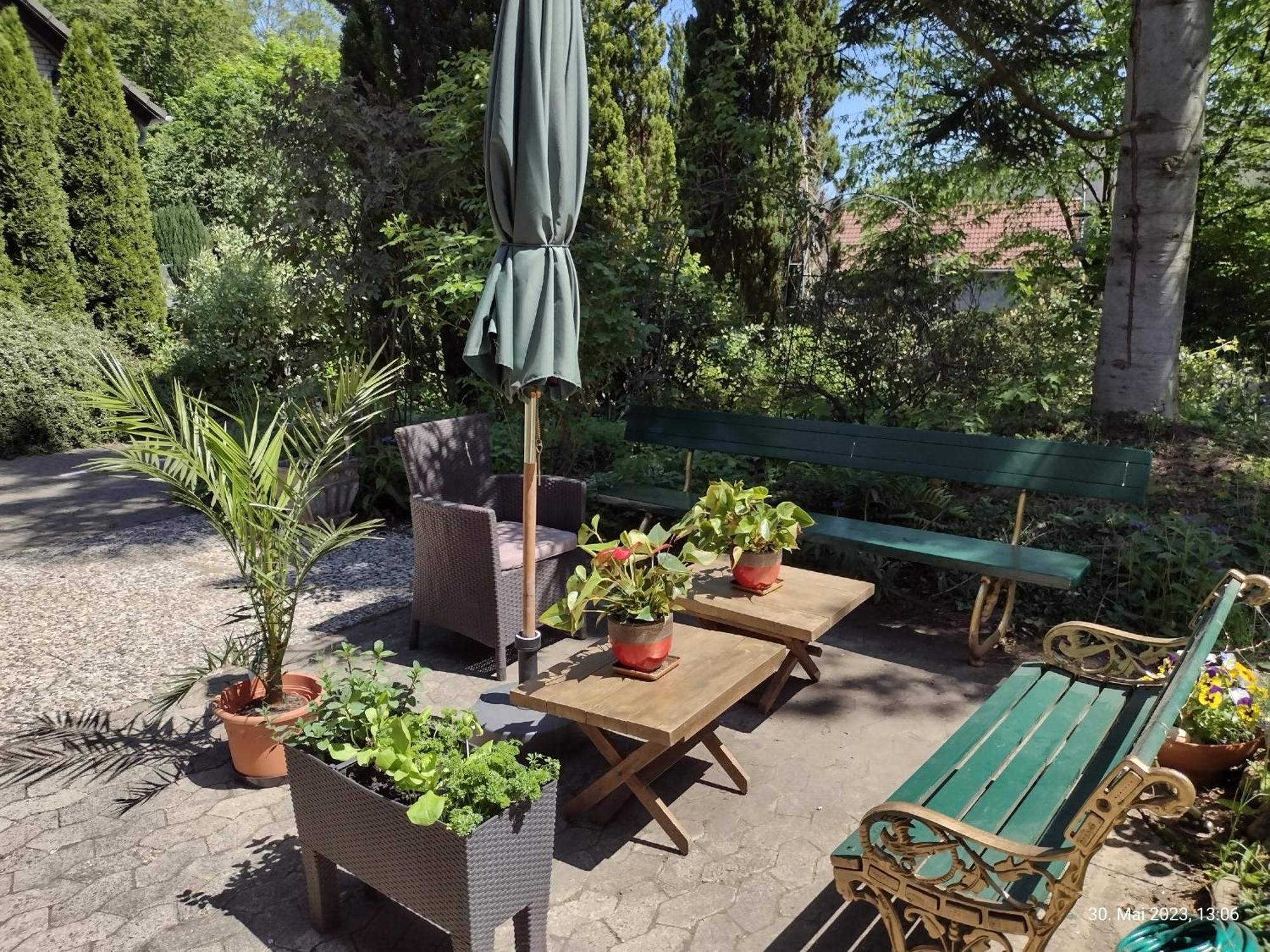 Apartmán Olifant In Osterode Osterode am Harz Exteriér fotografie