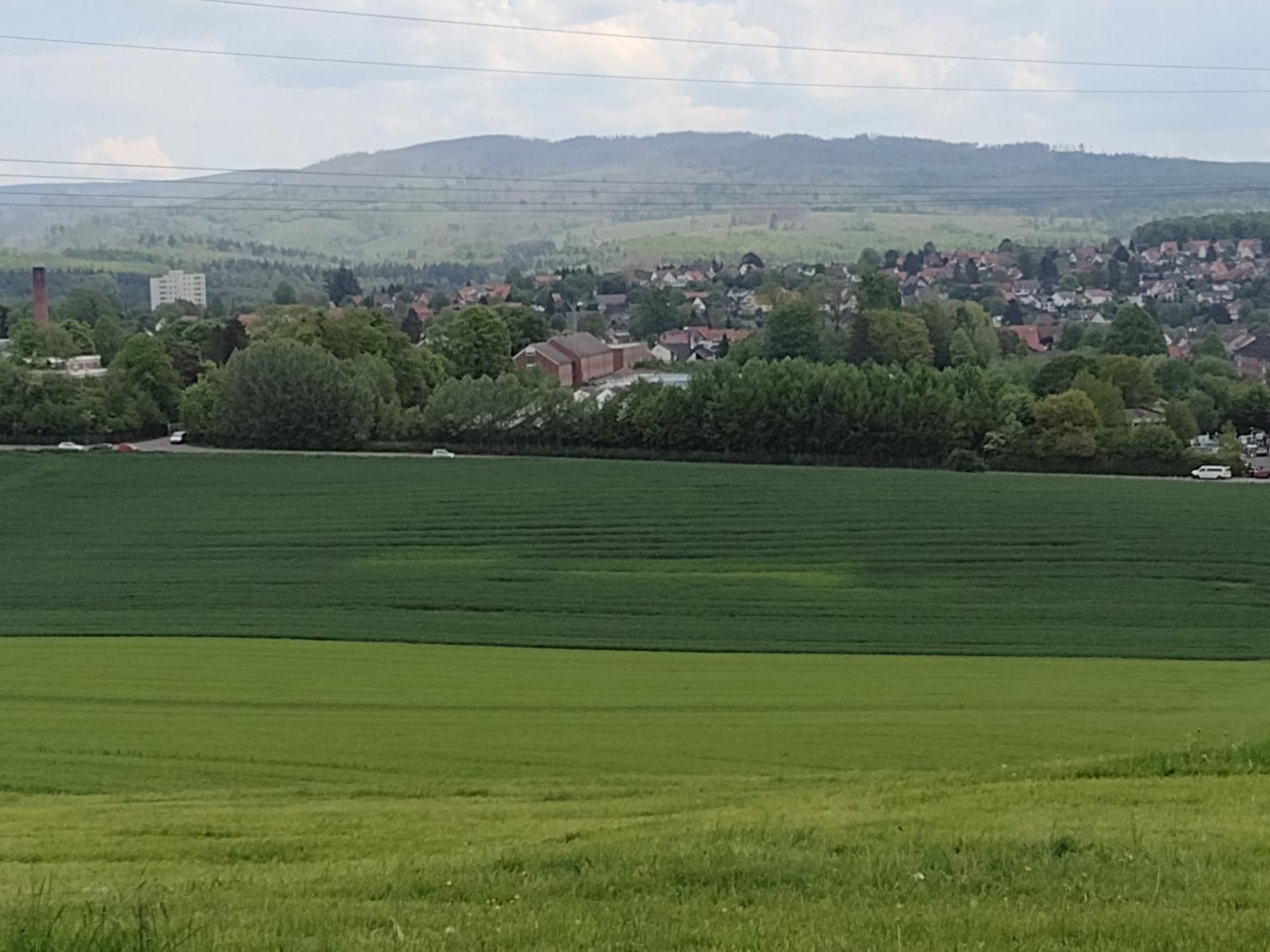 Apartmán Olifant In Osterode Osterode am Harz Exteriér fotografie